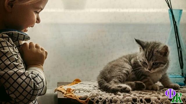 - Я самый-самый! Не трогайте меня! - возмущенно шипел КОТЁНОК, царапаясь смотреть онлайн