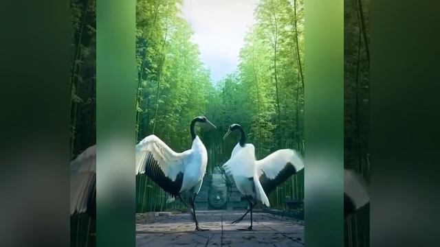 Tetiana Andriienko / Lelli Hai / Осінній блюз(OFFICIAL AUDIO) смотреть онлайн