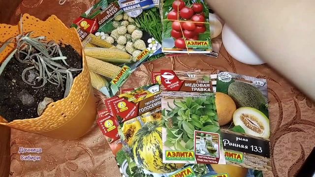 Семена 2022 г.Посылка от Аэлиты. смотреть онлайн