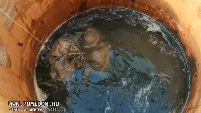 СПАСАТЕЛЬ РАССАДЫ! СКОРЕЕ ДЕЛАЙТЕ ТАКЖЕ ЕСЛИ ВАША РАССАДА БОЛЕЕТ И ЕЙ ПЛОХО ПОСЛЕ ВЫСАДКИ В ГРУНТ! смотреть онлайн