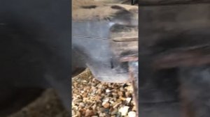 Ford Mondeo Mk4 Fuel Tank Removal How To Guide
