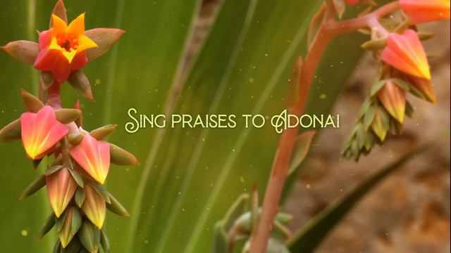 Divine Justice | PSALM 9 Audio Bible in English | YHWH SELAH смотреть онлайн