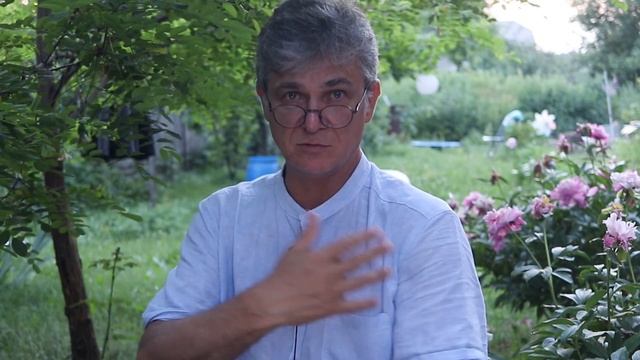 598 Рефлексы в живописи смотреть онлайн