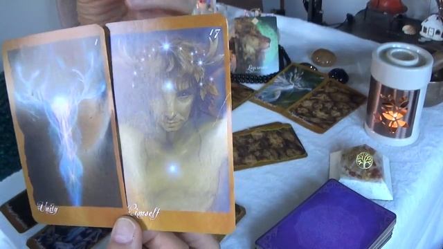 Sagittarius Faery Oracle January 2022. Time of rebirth - renewed aspirations - unique perspectives смотреть онлайн