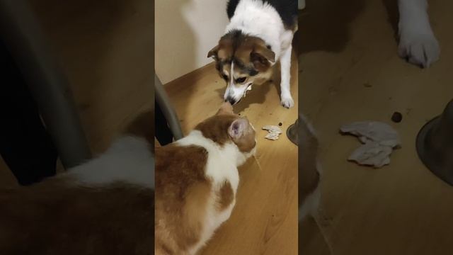 Кто ходит в гости по утрам...?