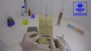 Огурец Устюг F1. Гавриш