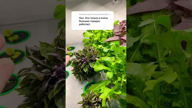 Бизнес в квартире для всех смотреть онлайн