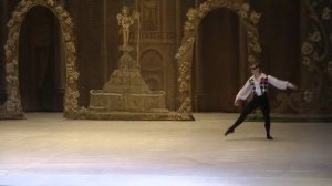 Па де де из балета «Арлекинада»