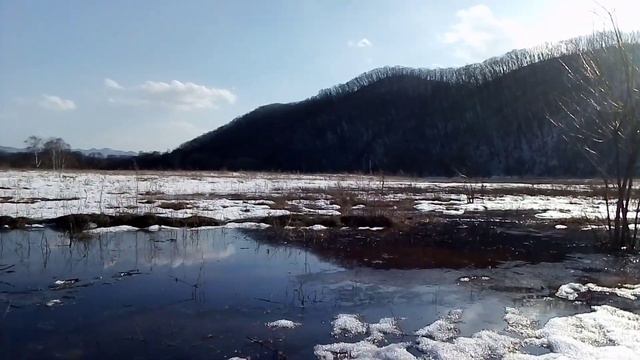 Весенние ручьи 3 марта 2023г. смотреть онлайн