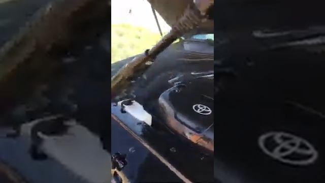 Мойка двигателя TLC PRADO 120 смотреть онлайн