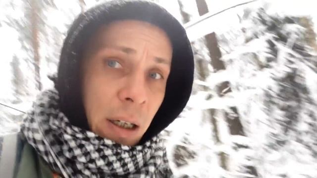 Выход в зимний лес