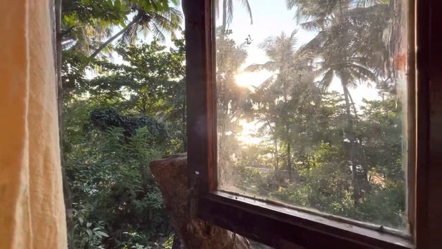 УЕХАЛИ В ЮЖНЫЙ ГОА. ДЕНЬ РОЖДЕНИЕ ЛУЛУ НА ПЛЯЖЕ ПАЛОЛЕМ. ЖИЛЬЕ В ЮЖНОМ ГОА. ИНДИЯ ВЛОГ смотреть онлайн