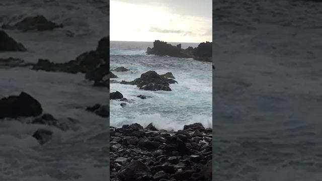 Rapanui 2 смотреть онлайн
