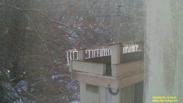 Наши братья