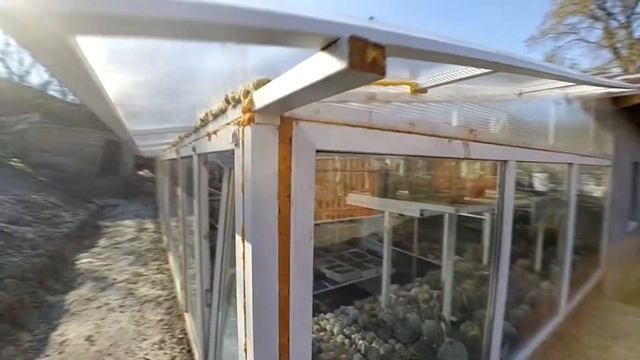 Шишаки - теплица на приусадебном участке.