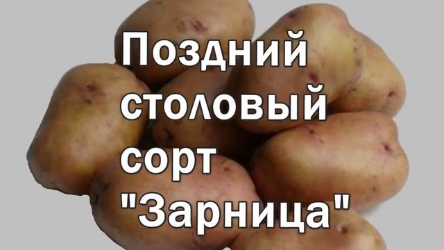 Лучшие Сорта Картофеля Для Жарки смотреть онлайн