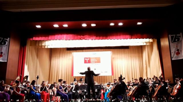 Orchestra Română de Tineret - Preludiu și moartea Isoldei смотреть онлайн