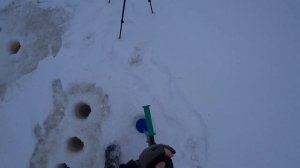 ЗУБР - шуруповёрт для рыбалки ???  Дрель-шуруповерт ЗУБР DB-201-42 . Погнали тестить ))