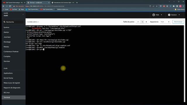 Apache httpd : Utiliser les scripts CGI смотреть онлайн