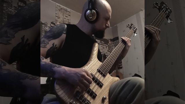 hammali & navai - птичка (bass cover) смотреть онлайн
