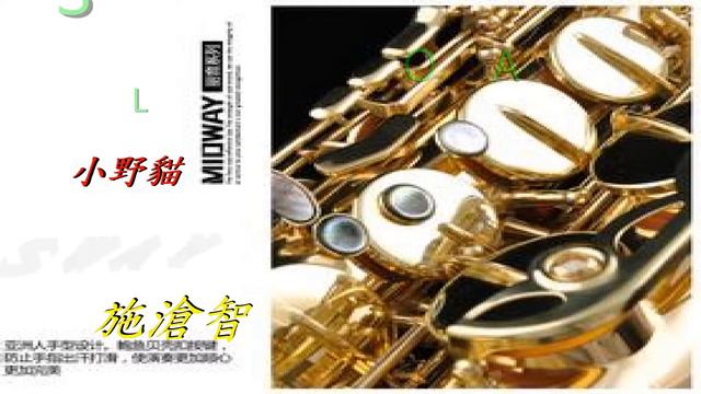 SWAY-pussy cat dolls/ 施滄智 中音Alto saxophone演奏 смотреть онлайн