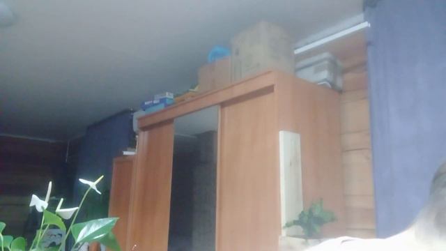 Лепим позы/подготовка к новому году/ обзор помещения. смотреть онлайн