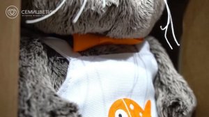 Кот Басик шеф повар