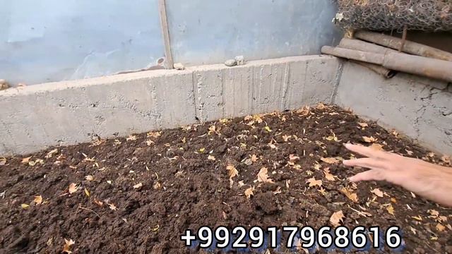 Биогомус Регар одамо сар кардан ин бизнеса смотреть онлайн