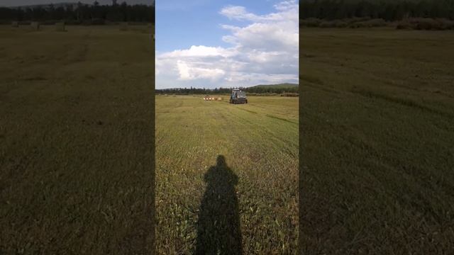 Роторные грабли+пресс ПР-Ф 145. смотреть онлайн