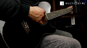 Ibanez Talman TCY 10 E