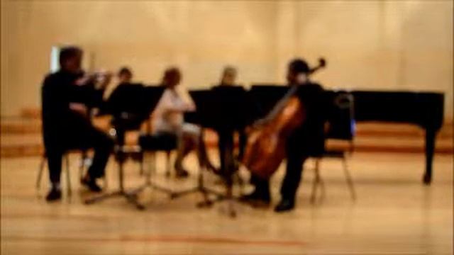 Iris Zemva - Corazón - Eduardo Sanchez de Fuentes смотреть онлайн