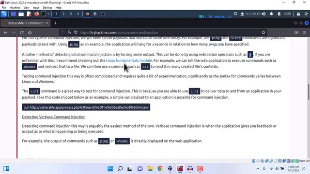 13 Jr Penetration Tester - Command Injection | Urdu / Hindi | How to perform Remote Code Execution смотреть онлайн