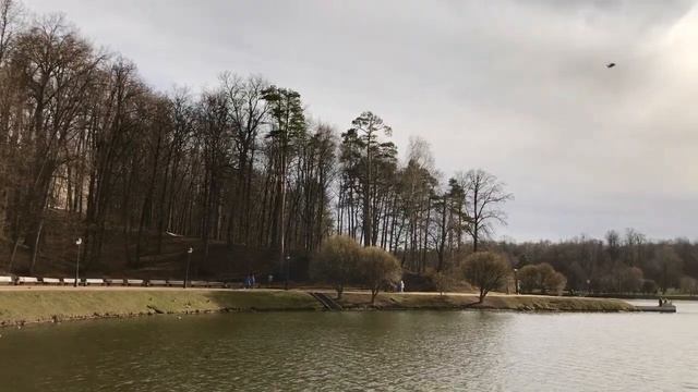 Зимние ритуалы