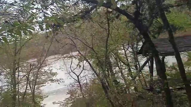 Кипарисовое озеро в Октябре 2023 года смотреть онлайн