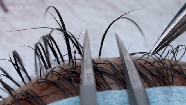 Aplicación Fácil de Extensiones de Pestañas 1x1 con Flat Lashes (Paso a Paso) смотреть онлайн