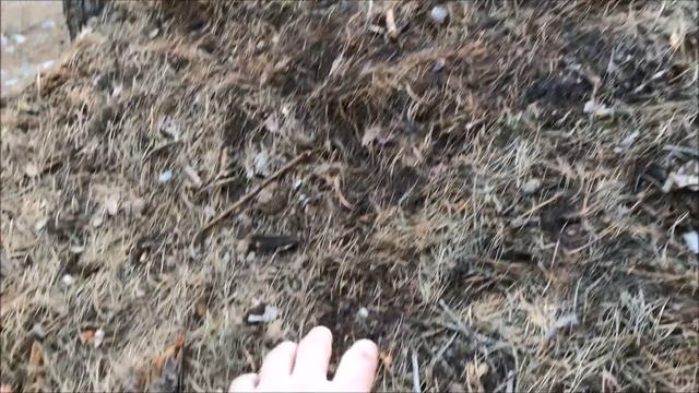 PRIMITIVE VIKING TYPE HUT Winter Survival Bushcraft Shelter Overnight смотреть онлайн