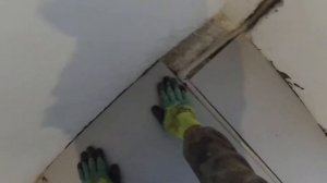 укладка техноплекс от технониколь на клей