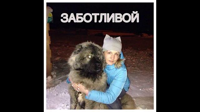 ВИОЛЕТТА, С ДНЕМ РОЖДЕНИЯ!!! смотреть онлайн