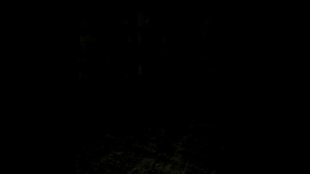 Лестница SCP-087 смотреть онлайн