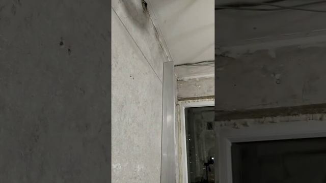 струнные маяки смотреть онлайн