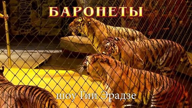 Цирковое шоу Гии Эрадзе «Баронеты в Воронеже смотреть онлайн
