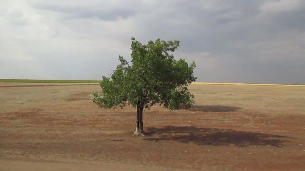 Опустевшее село Высокое (Hohendorf), Энгельсский район