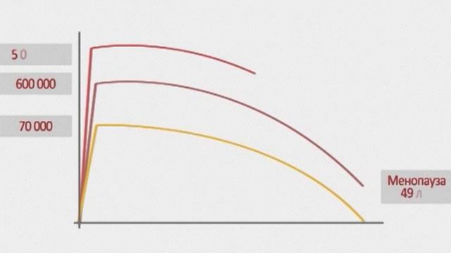 Выпуск 3 «Школа ЭКО» Овариальный резерв смотреть онлайн