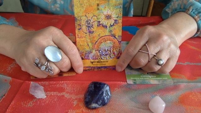 Inner Light Moon Oracle May New Moon Reading 2023 by Elizabeth смотреть онлайн