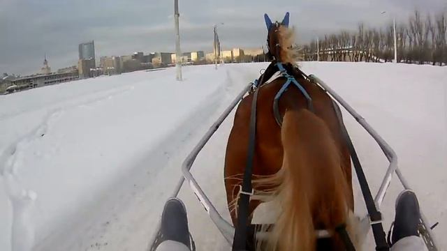 13/02/2022 Княжик на ЦМИ смотреть онлайн