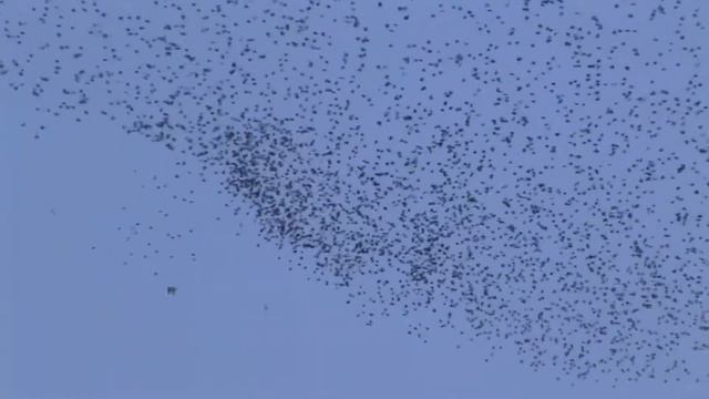 приближение к земле из космоса смотреть онлайн