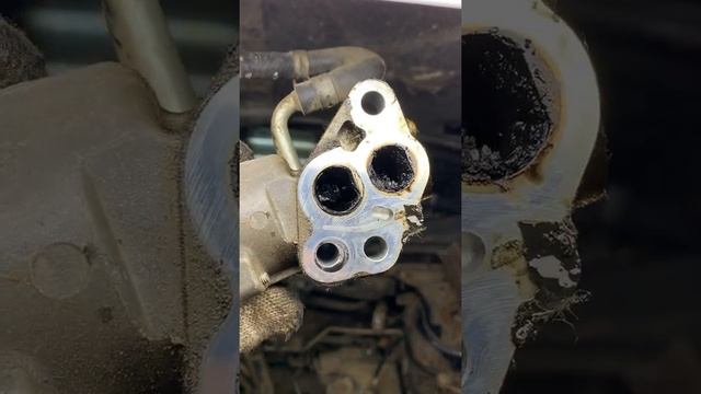 Что происходит с клапаном ЕГР при повышенном расходе масла. смотреть онлайн