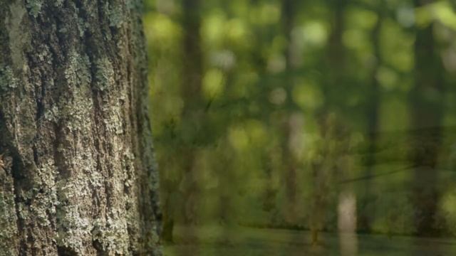 Заднеприводный локальный ассенизатор КАК, что и почему смотреть онлайн