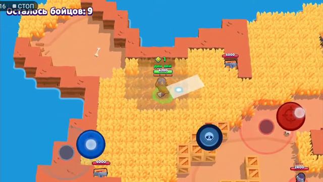 Мой новый акаунт как там мало купкаф, а сундуки подводят смотреть онлайн