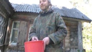 Живу на хуторе в Латгалии объели мои кошки ) или была рыба и нет ) Хутор LV
